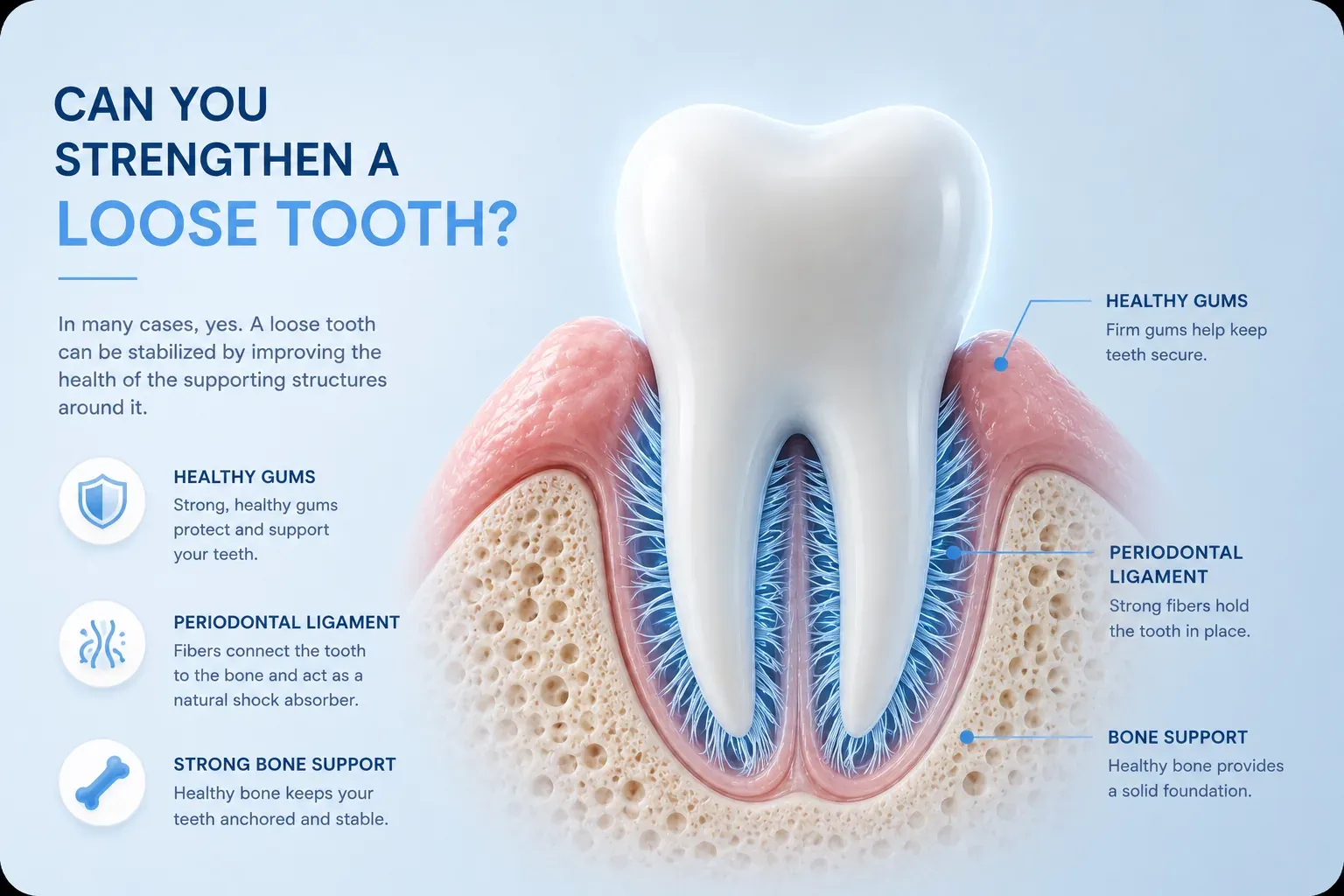 Can You Strengthen a Loose Tooth? What Actually Helps