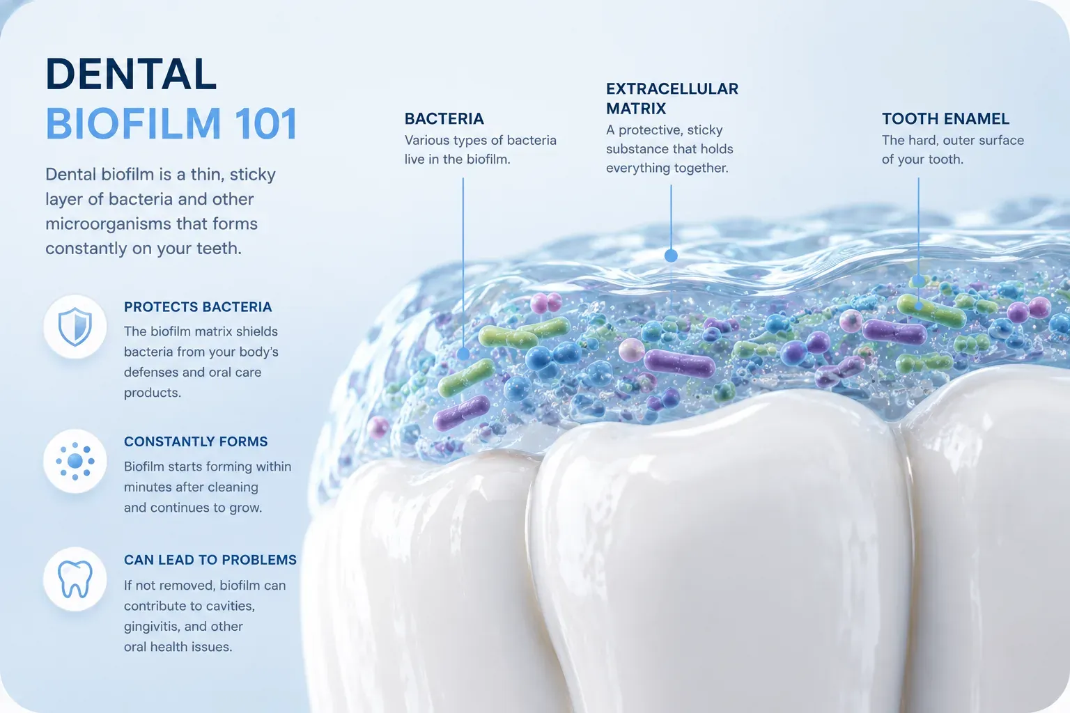 Dental Biofilm 101: What It Is and Why Brushing Alone Won't Remove It