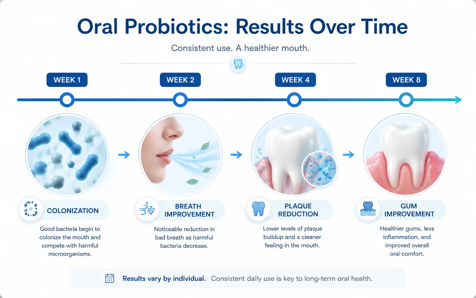 Horizontal timeline showing the realistic weeks-based progression of oral probiotic results, from colonization through bad breath and gum health improvements